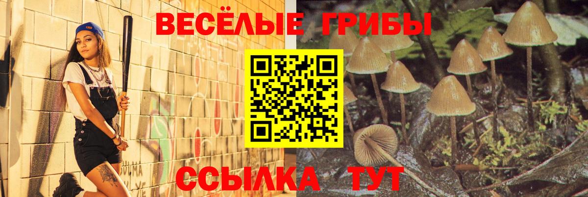 Галлюциногенные грибы Magic Shrooms Усть-Джегута